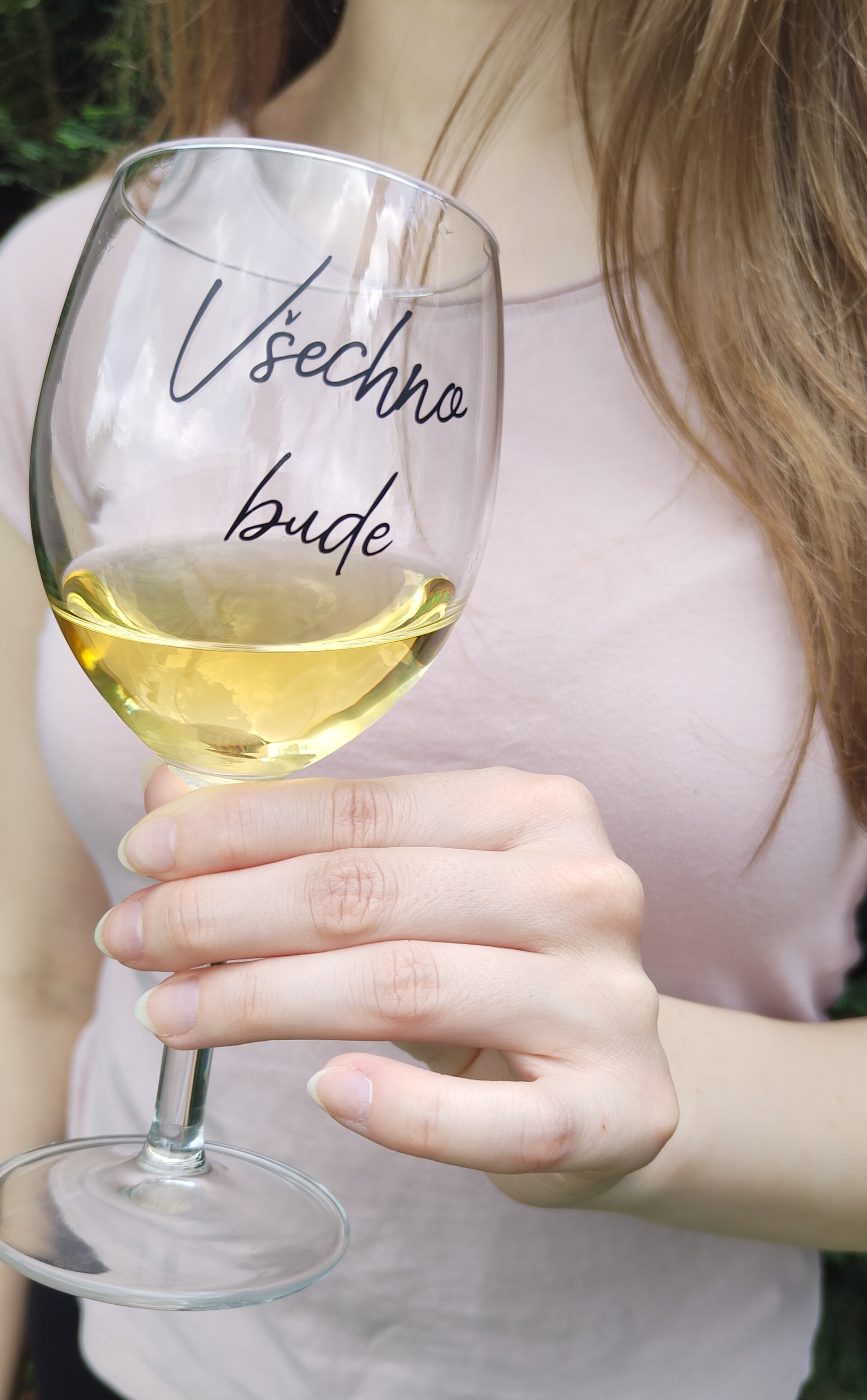 Dárková sklenice na víno Všechno bude