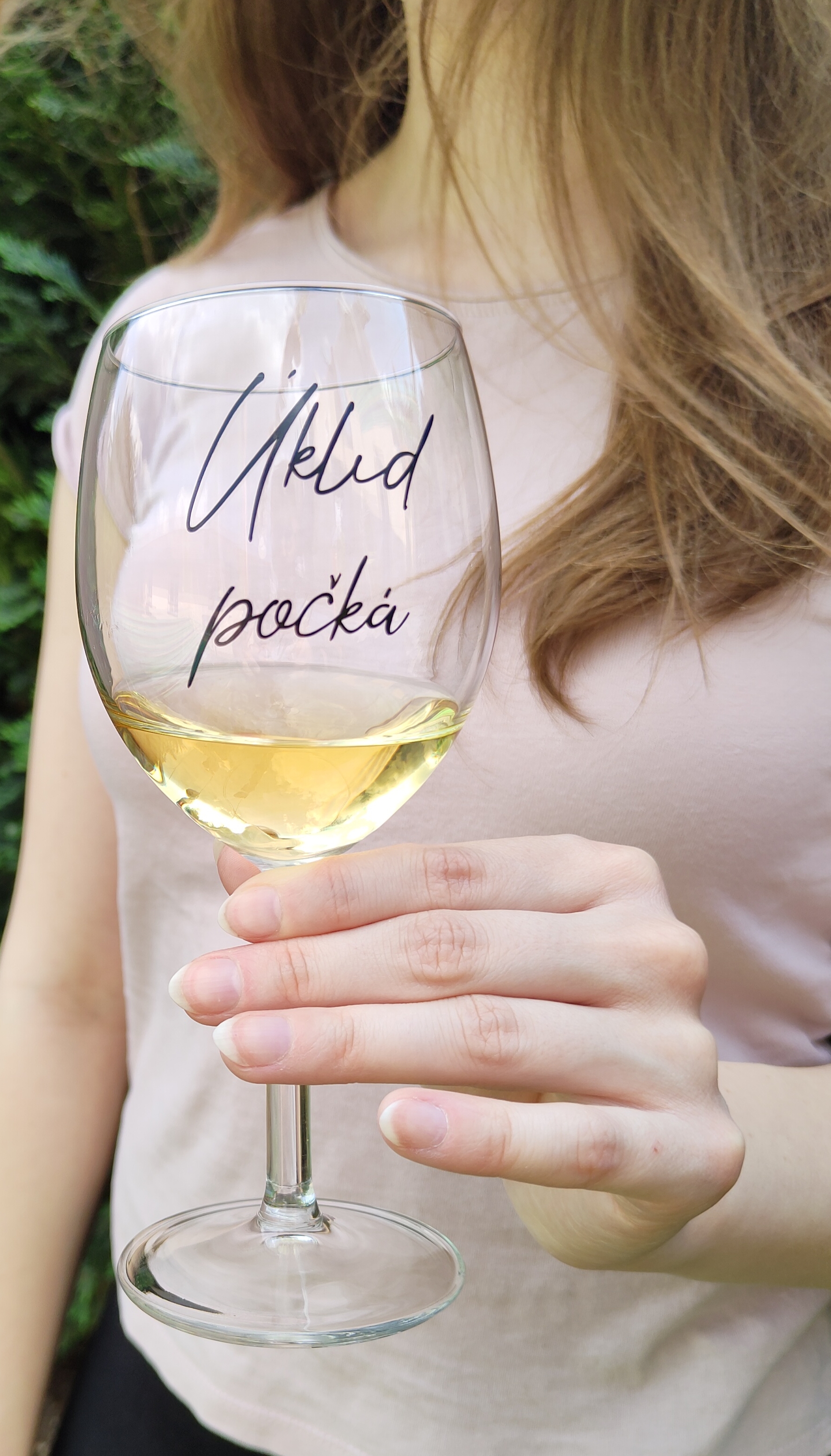 Dárková sklenice na víno Úklid počká